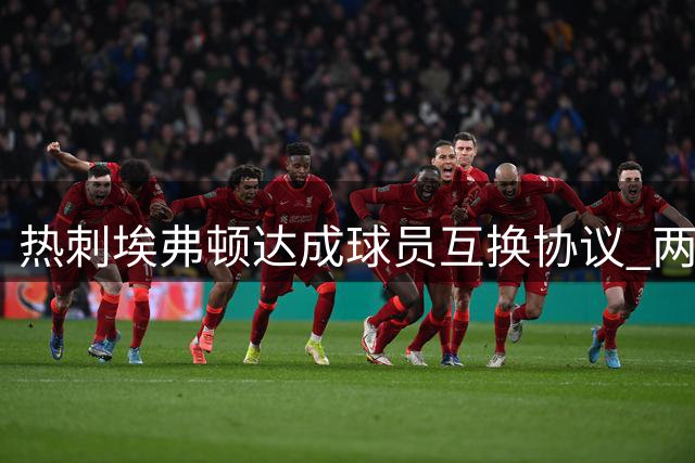 热刺埃弗顿达成球员互换协议 两将去向待定